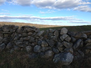Stone walls of North Stonington